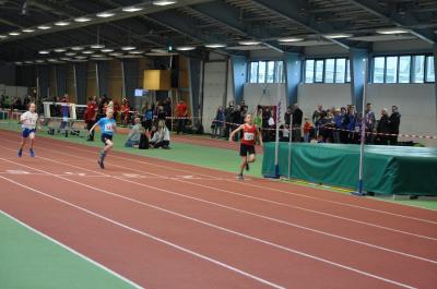 Foto des Albums: LM Halle Mehrkampf Cottbus