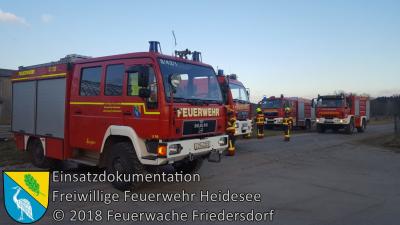 Vorschaubild: Einsatz 9/2018 | 300m² Ödlandbrand | Friedersdorf Wilhelmstraße