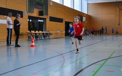Foto des Albums: Hallensportfest Prenzlau