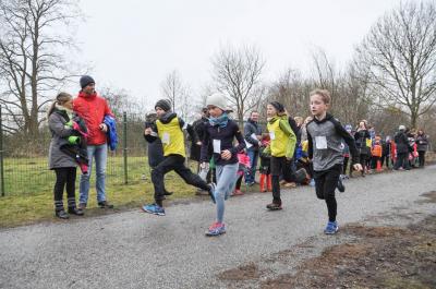Foto des Albums: UDG-Cross Prenzlau