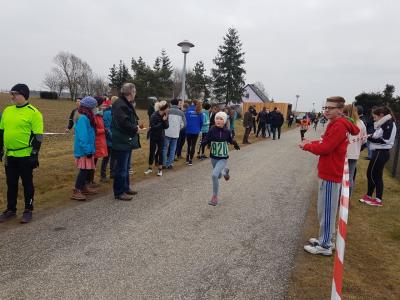 Foto des Albums: Jamikower Frühjahrslauf