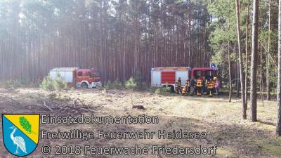 Vorschaubild: EInsatz 19/2018 | 3 Fässer mit unbekannter Flüssigkeit im Wald | Gräbendorf Am Dolgenhorst