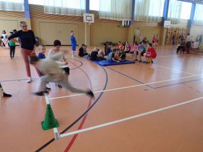 Foto des Albums: Stärkster Schüler/Stärkste Schülerin Grundschule (06. 05. 2018)