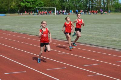 Foto des Albums: Kinder-und Jugendsportspiele Eggesin