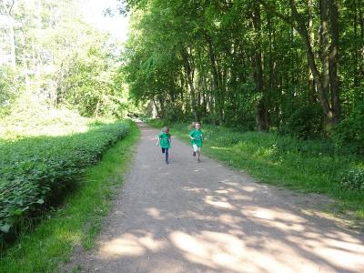 Foto des Albums: Kaarster Seelauf 2018