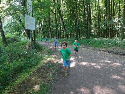 Foto des Albums: Kaarster Seelauf 2018