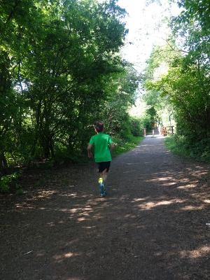 Foto des Albums: Kaarster Seelauf 2018