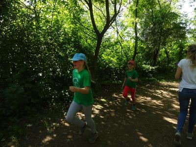 Foto des Albums: Kaarster Seelauf 2018