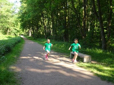 Foto des Albums: Kaarster Seelauf 2018