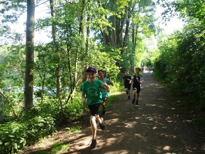 Foto des Albums: Kaarster Seelauf 2018