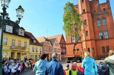 Foto des Albums: Maibaumaufstellung auf dem Großen Markt in Perleberg (27. 04. 2018)
