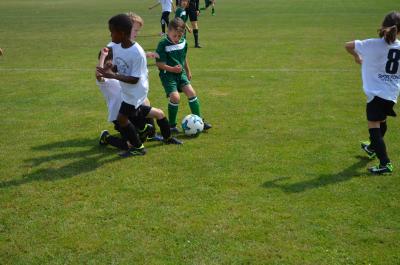 Foto des Albums: Fußballturnier "Der Junge mit der Deutschlandfahne" auf dem Sportgelände in Wollbach