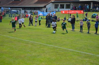 Foto des Albums: Fußballturnier "Der Junge mit der Deutschlandfahne" auf dem Sportgelände in Wollbach