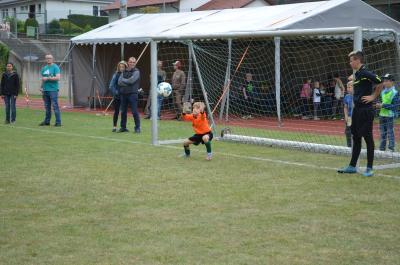 Foto des Albums: Fußballturnier "Der Junge mit der Deutschlandfahne" auf dem Sportgelände in Wollbach