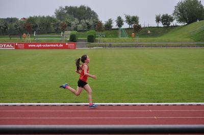 Foto des Albums: Abendsportfest Prenzlau