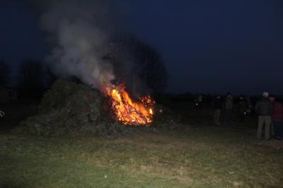Foto des Albums: Knutfest