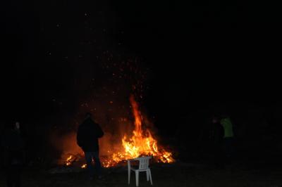 Foto des Albums: Knutfest