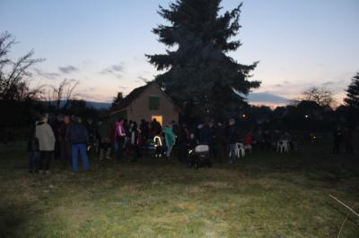 Foto des Albums: Knutfest