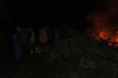 Foto des Albums: Knutfest