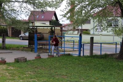 Foto des Albums: Ostereier suche in der ehemalige Schule