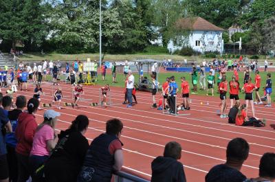 Foto des Albums: Ostseepokal Rostock