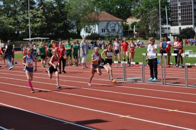 Foto des Albums: Ostseepokal Rostock