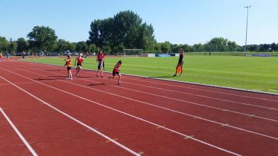 Foto des Albums: Kreissportspiele Prenzlau, 08.06.218