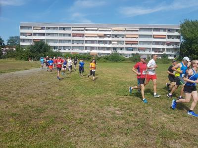 Foto des Albums: Schwedter Polderlauf