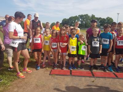 Foto des Albums: Schwedter Polderlauf
