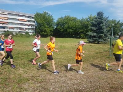 Foto des Albums: Schwedter Polderlauf