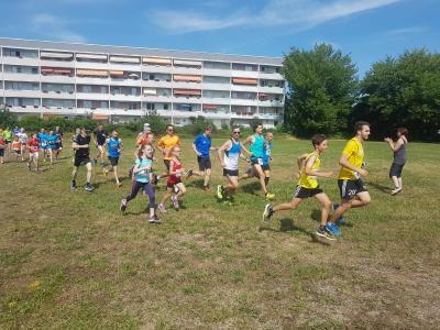 Foto des Albums: Schwedter Polderlauf