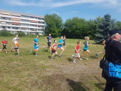 Foto des Albums: Schwedter Polderlauf