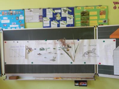 Foto des Albums: Tag der offenen Tür