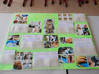 Foto des Albums: Tag der offenen Tür