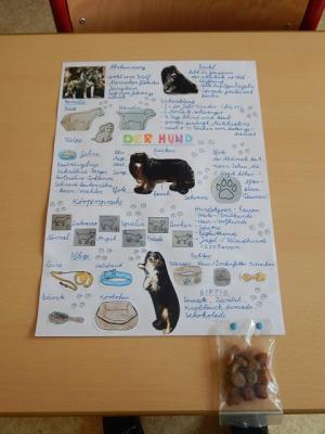 Foto des Albums: Tag der offenen Tür