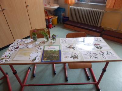 Foto des Albums: Tag der offenen Tür