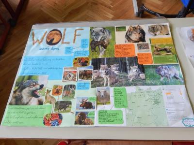 Foto des Albums: Tag der offenen Tür