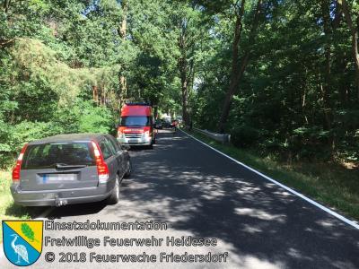 Vorschaubild: Einsatz 45/2018 | VU 2x PKW | L39 OV Blossin - Friedersdorf
