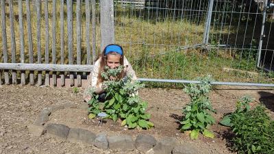 Foto des Albums: Schullandheimaufenthalt der Klasse 4a im Schullandheim Thüringer Hütte