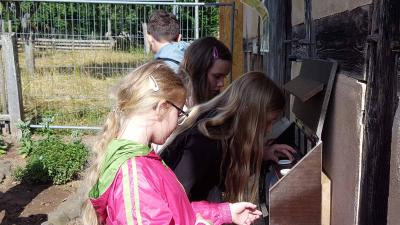 Foto des Albums: Schullandheimaufenthalt der Klasse 4a im Schullandheim Thüringer Hütte