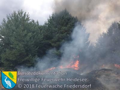 Vorschaubild: Einsatz 75/2018 | 2000m² Flächen- und Waldbrand | Wolzig Parkstraße