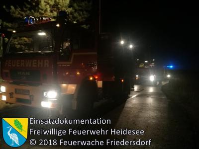 Vorschaubild: Einsatz 78/2018 | 100m² Waldbodenbrand | OV AS Friedersdorf - Deupo