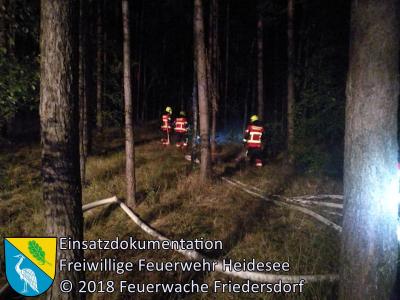 Vorschaubild: Einsatz 78/2018 | 100m² Waldbodenbrand | OV AS Friedersdorf - Deupo