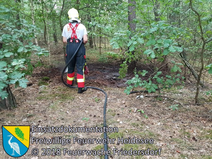 Bild: Einsatz 80/2018 | 5m² Waldbodenbrand | Gussow Gussower Hauptstraße