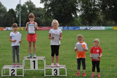 Foto des Albums: Angermünder Sommerlauf