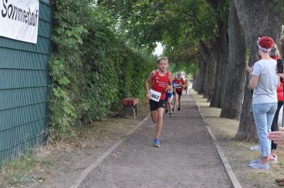 Foto des Albums: Angermünder Sommerlauf