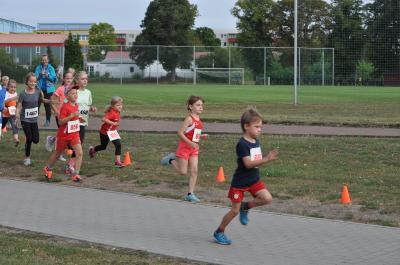 Foto des Albums: Angermünder Sommerlauf