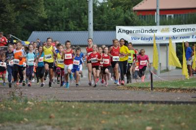 Foto des Albums: Angermünder Sommerlauf
