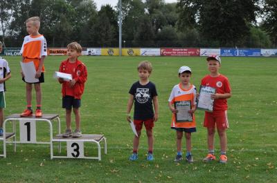 Foto des Albums: Angermünder Sommerlauf