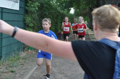 Foto des Albums: Angermünder Sommerlauf